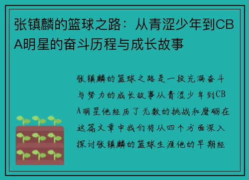 张镇麟的篮球之路：从青涩少年到CBA明星的奋斗历程与成长故事